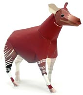 オカピ 完成見本