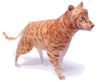 オシキャット 完成見本