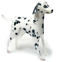 ダルメシアン 完成見本