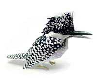 ヤマセミ 完成見本