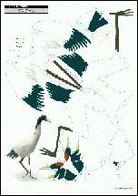 タンチョウ(特別天然記念物)