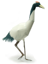 タンチョウ 完成見本