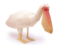 ペリカン 完成見本