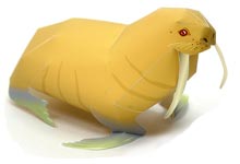 セイウチ 完成見本