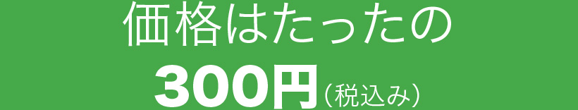 価格はたったの300円（税込み）