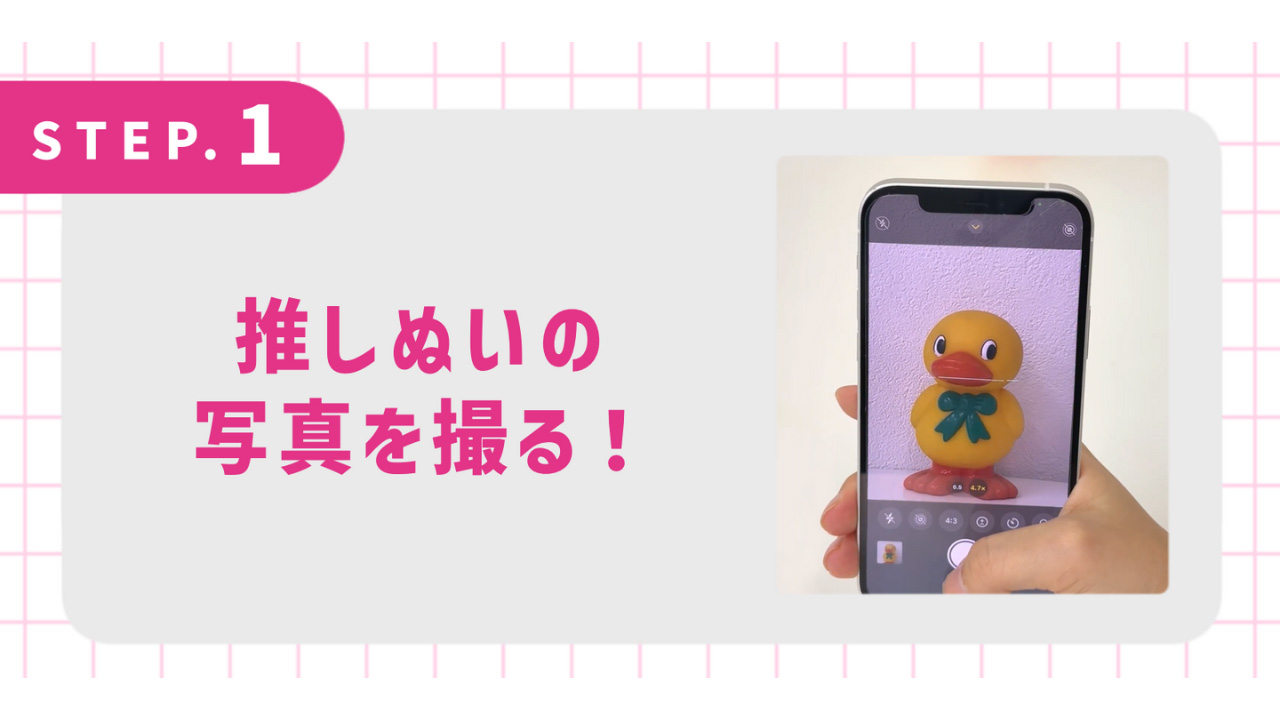 推しぬいの写真を撮る！