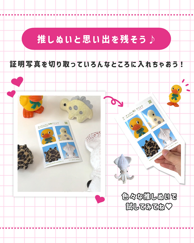 推しぬいと思い出を残そう