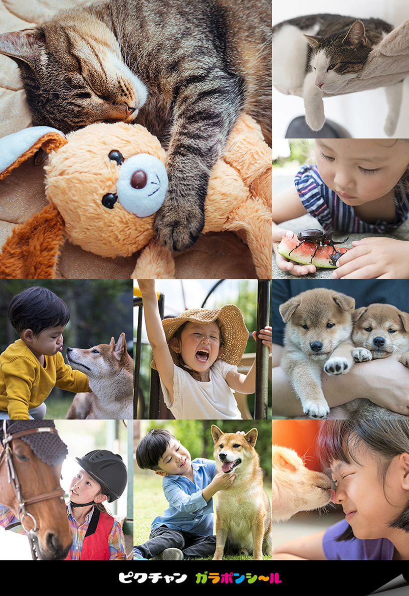 ピクチャン「ガラポンシール」