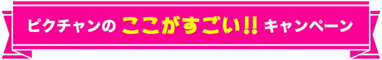 ピクチャンのここがすごい！！キャンペーン