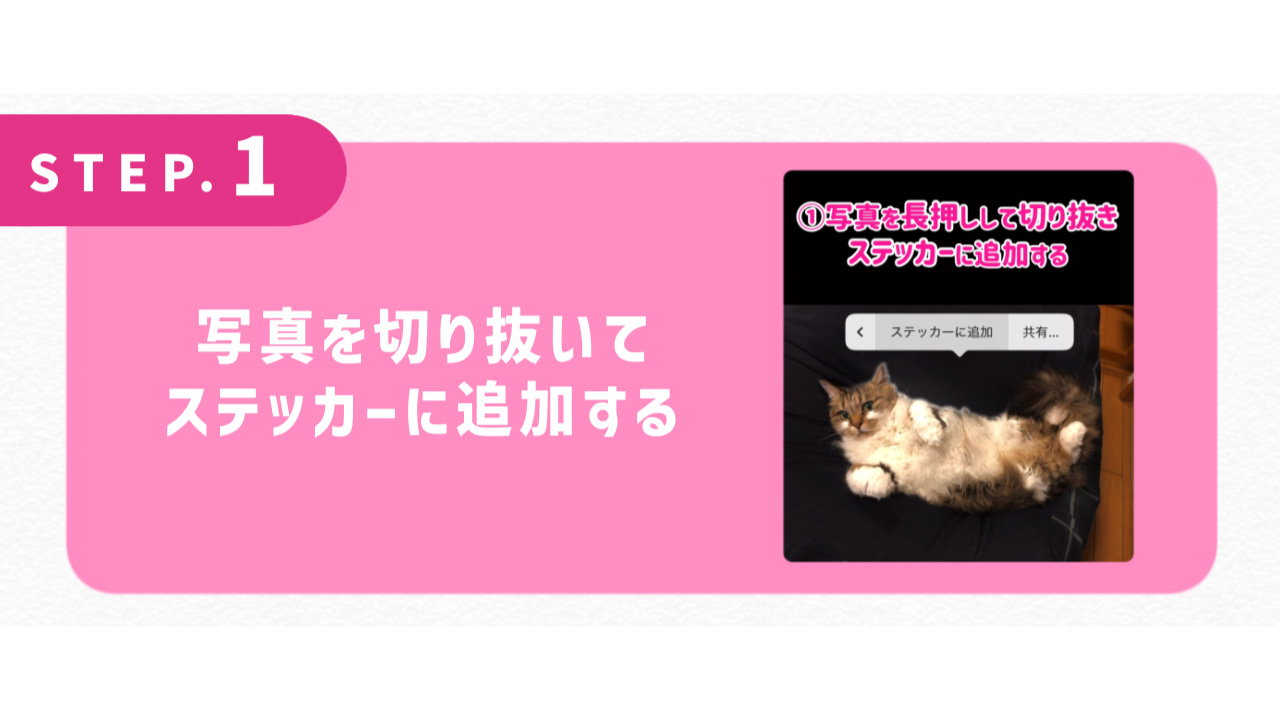 まずは手紙を書くよ！